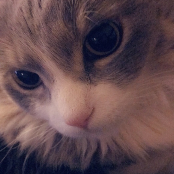 *DISCLAIMER* - Picture 2 of 3